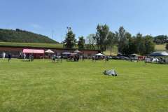 Wikingerschach_2025-02
