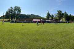 Wikingerschach_2025-03