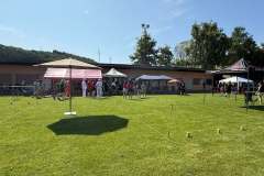 Wikingerschach_2025-4